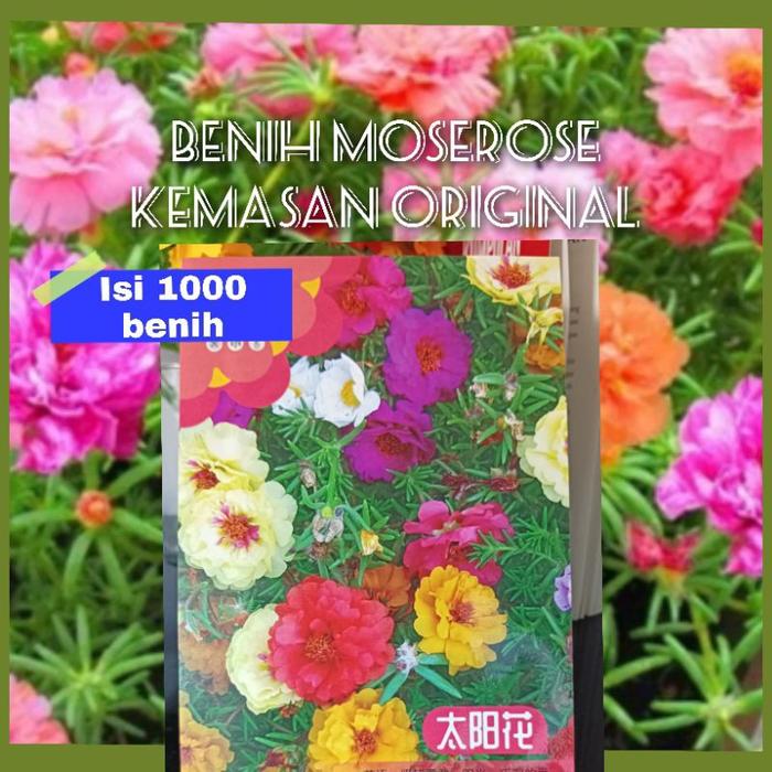Benih Bunga Krokot Warna Warni Kemasan Premium