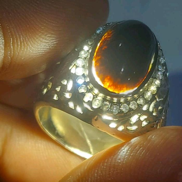 Bacan majiko coklat merah
