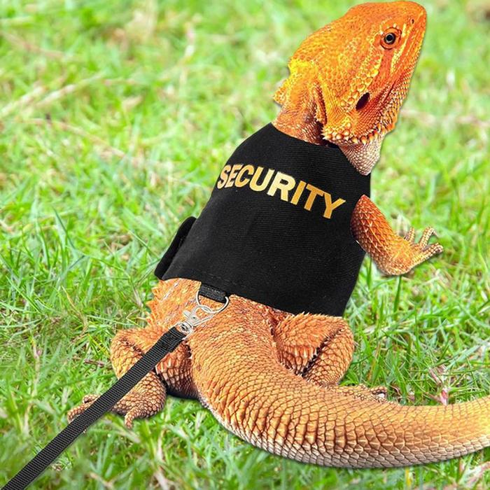 Lizard Leashes Bearded Dragon Adjustable Comfortable Leopard Gecko Leashes 4.76ft Reptile Harness Pe