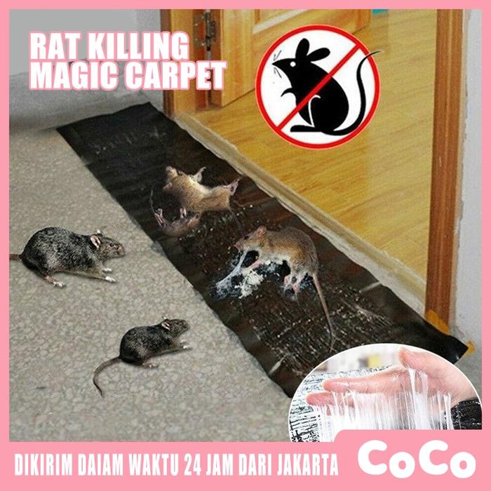 10PCS Magic Karpet Lem Tikus/Lem Tikus Super Besar /Lem Tikus Ukuran 0.6M/1.2 Meter/Lem
