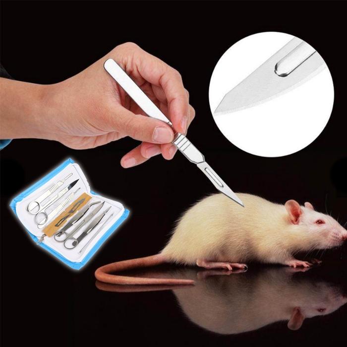 7Pcs  Alat bedah hewan / Gunting Operasi Bedah / Dissection Anatomy Biological Sample Biology Teachi