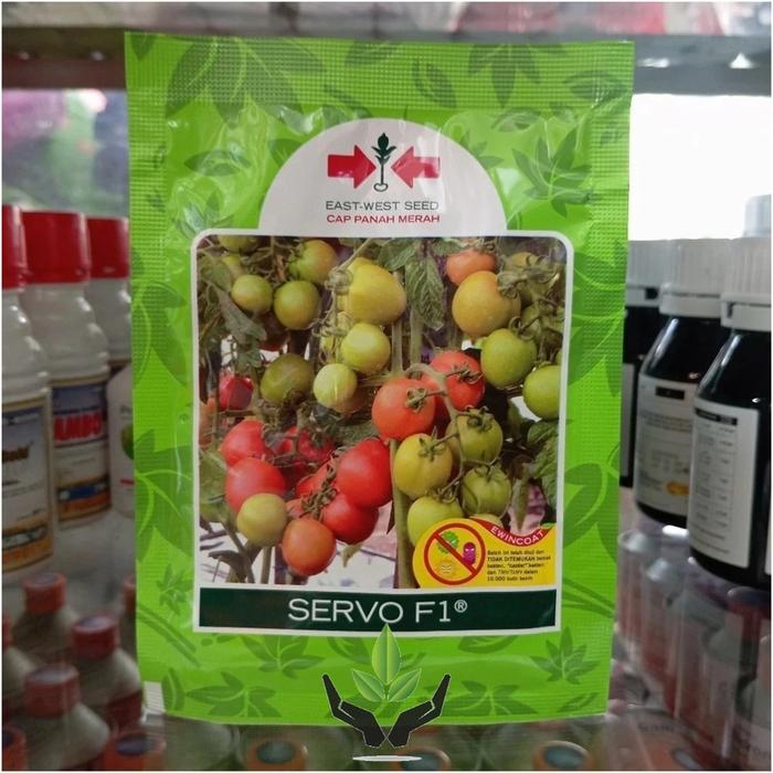 Benih Bibit Tomat Hibrida SERVO F1 isi 1750 biji cap panah merah PROMO