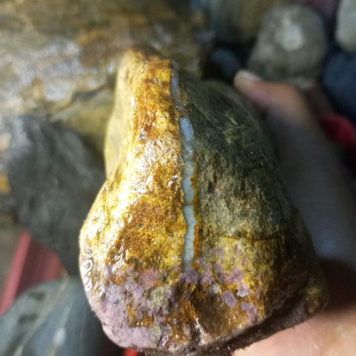 fosil kayu dadap bergaris kendit kristalnya tembus cahaya bahan super langka