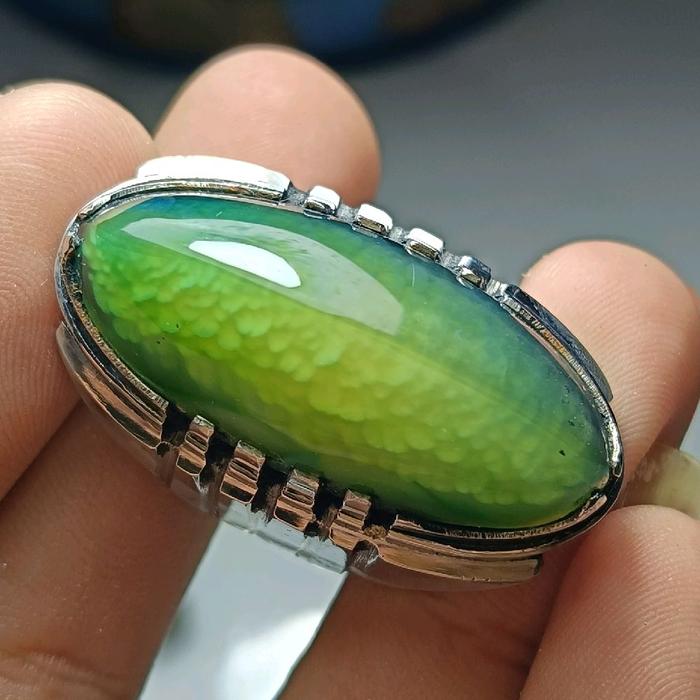 Cincin batu akik pandan lumut sisik betok