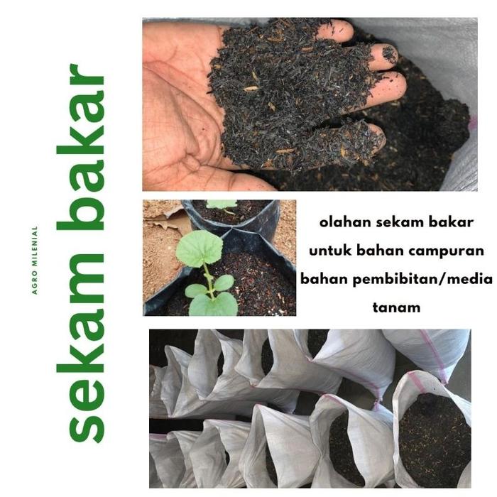 Sekam Bakar/Arang Sekam Pupuk Organik NPK Tanaman Siap Pakai 1 Karung