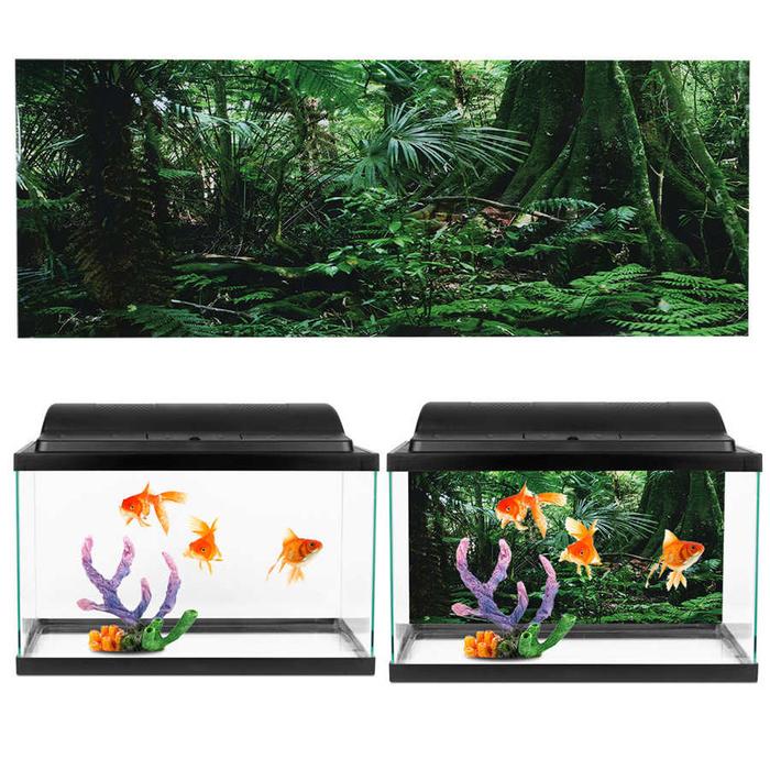 Fish Aquarium Sticker PVC Reptile Box Rainforest Background