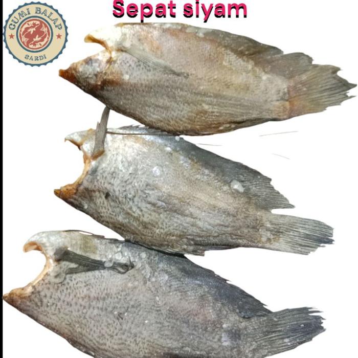 Ikan Sepat/Ikan Asin Sepat/Sepat Ukuran Sedang