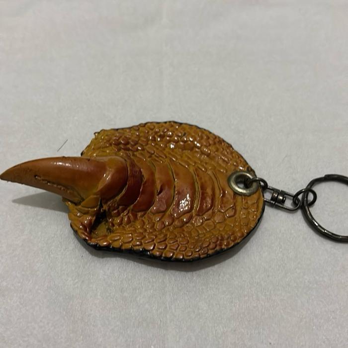 Awetan Kuku+ Kulit Burung Asli Papua