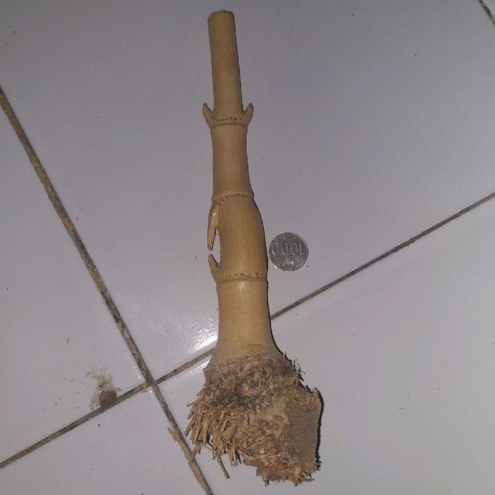 BAMBU PETUK ASLI