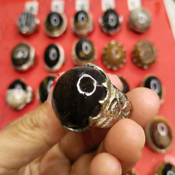 mustika badar lumut badar besi nempel maghnet energi natural alam losdor