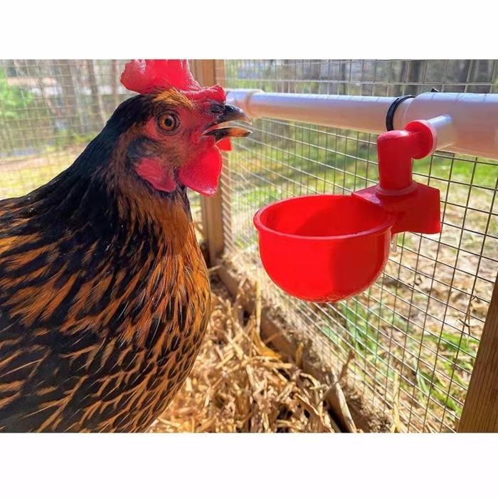 Chicken Drinking Mangkok Cepuk Tempat Minum/Nipel/Wadah Makan Ayam Bebek Puyu Burung