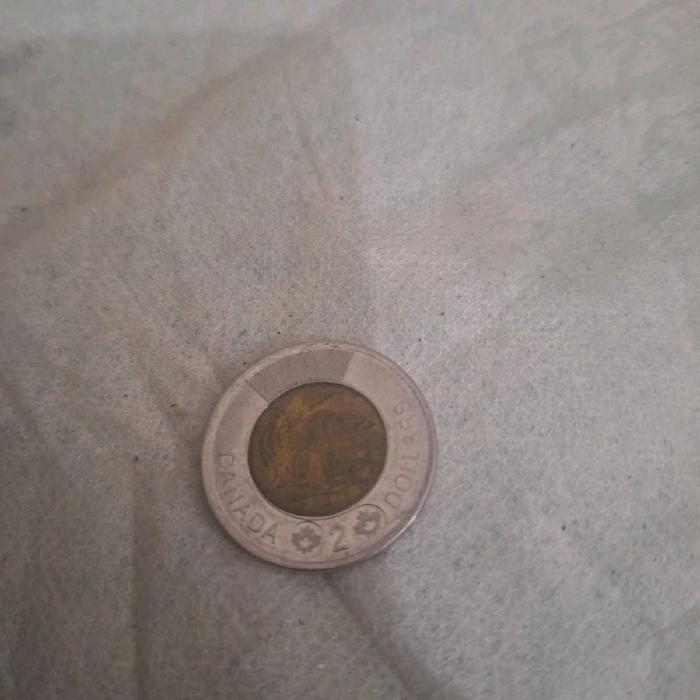 Koin 2 dollar atau tonnie Koin asli dari canada Limited edition Barang terawat Pemakaian pribadi
