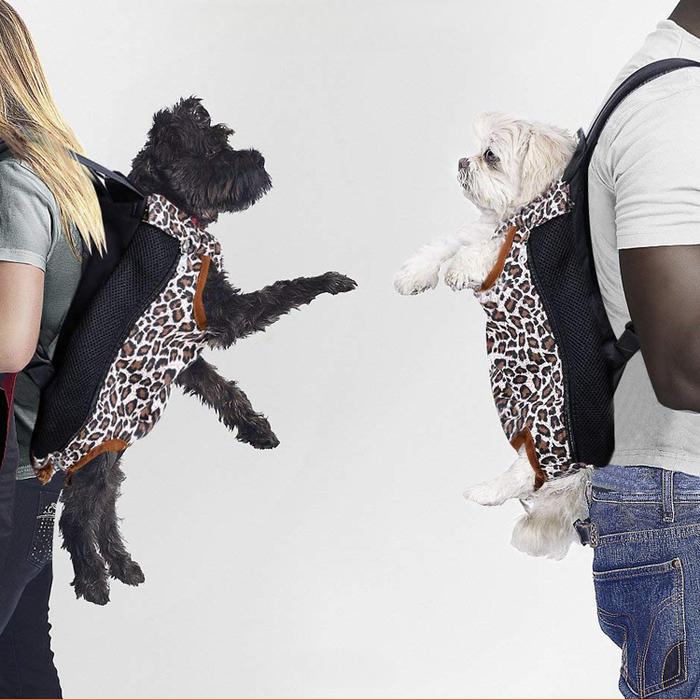 Tas punggung anjing peliharaan Denim, tas pembawa anjing kecil,