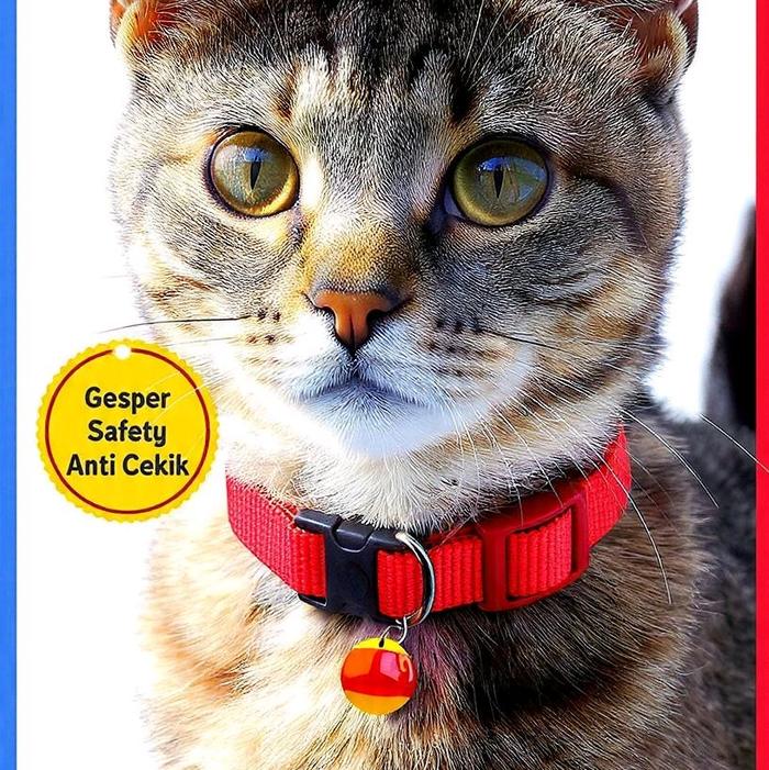 KALUNG KUCING LUCU