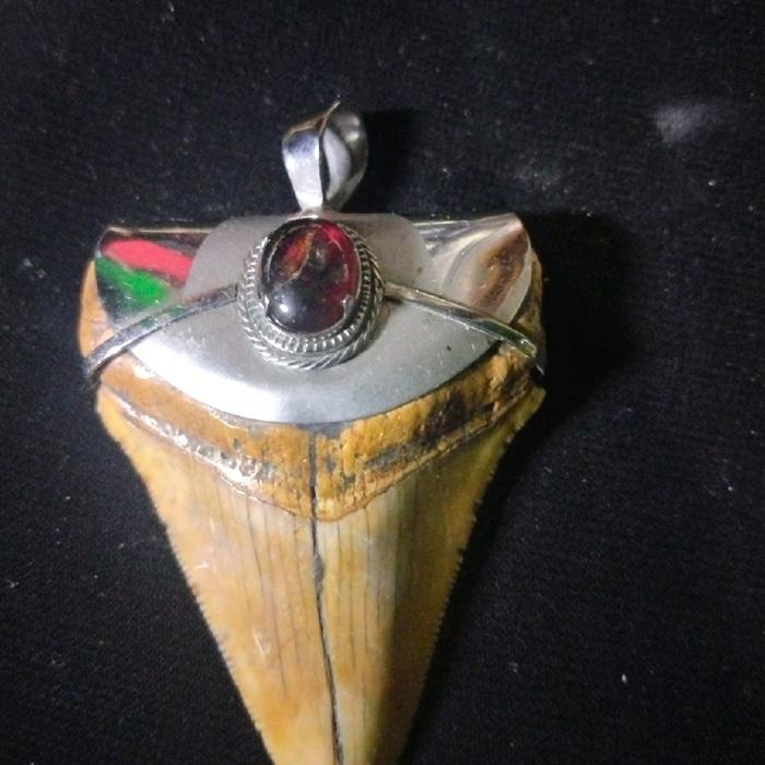 liontin gigi hiu megalodon purba