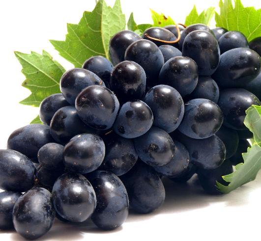 Fragrance Oil Grape 20 ml