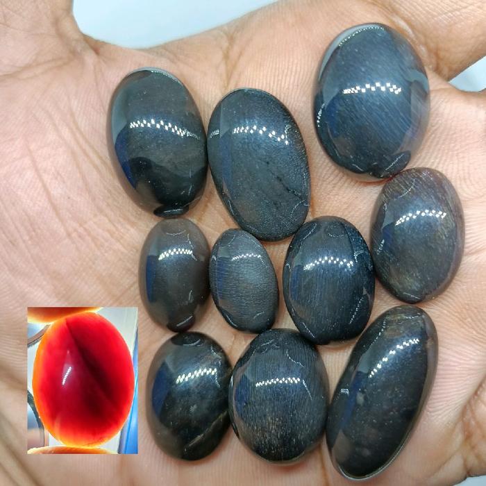 Batu Fosil Galih Kelor Hitam Pekat , Full Tembus , Keristal