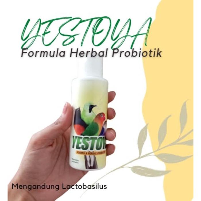 SUPLEMEN POWER MURAI KONSLET/VITAMIN LOMBA/ SUPLEMEN MURAI BATU