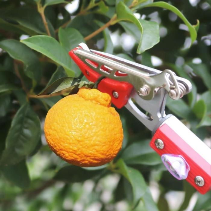 Tongkat Pemotong Gergaji Gunting Dahan Ranting Tarik Untuk Pohon Yang Tinggi/Tree Pruner Galah