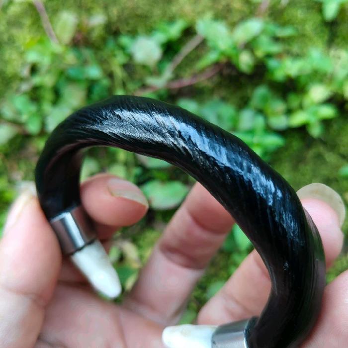 gelang akar bahar hitam kombinasi taring buaya