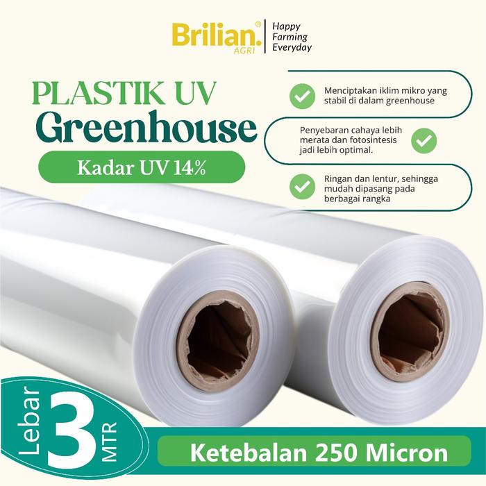 Plastik UV Green house Tebal 250 Micron 14% Lebar 3 Meter