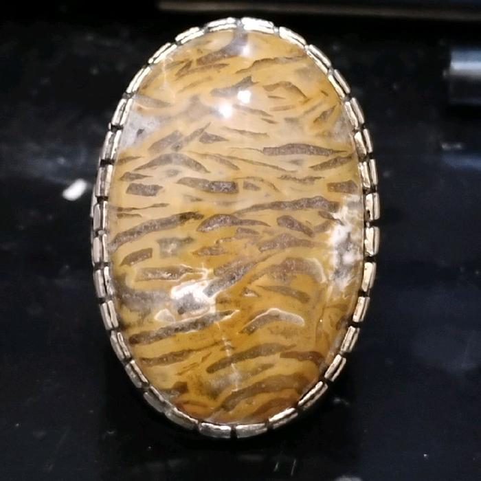 fosil kayu motif loreng macan