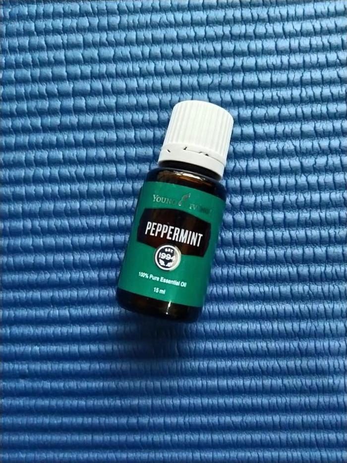 {{ Peppermint Yl 15Ml Yleo Essential Oil Ready }}