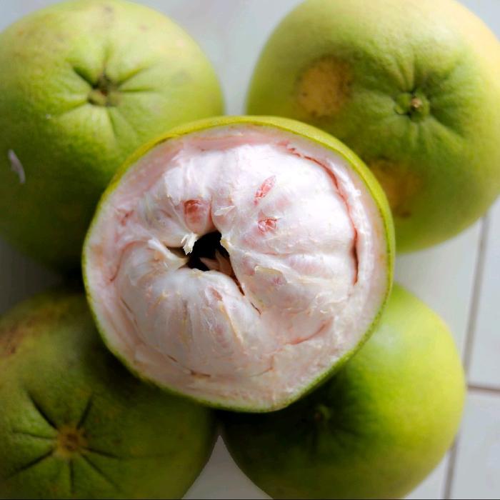 pamelo madu manis 1000-1100 gram