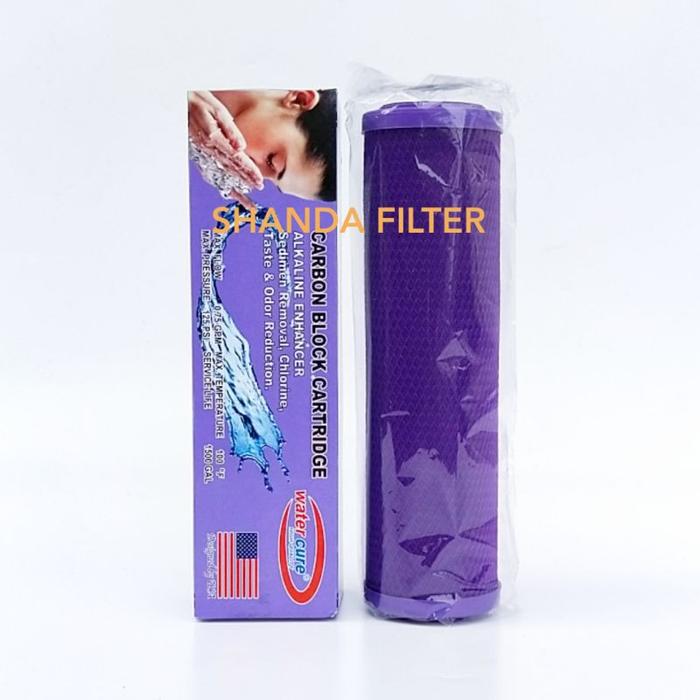 Filter Air Parts / CTO ALKALINE ENHANCER WATERCURE 10" Carbon Block
