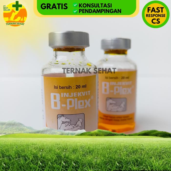 INJEKSI VIT VITAMIN B KOMPLEKS KOMPLEK BKOMPLEK BCOMP B-KOMPLEK MEDION