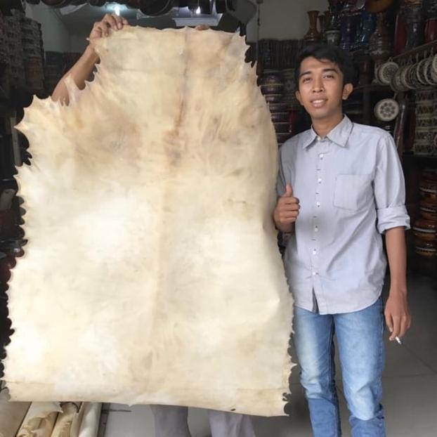 Kulit kambing super jumbo