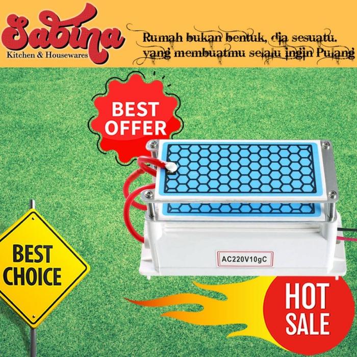 Purifier Sterilizer Pembersih Udara Portabel Ozonizer Ozone Generator