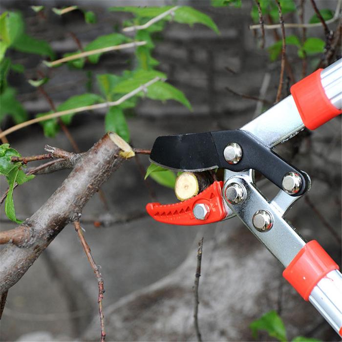 Pruning Tools Telescopic Scissors Tree Ratchet Lopper Pruner