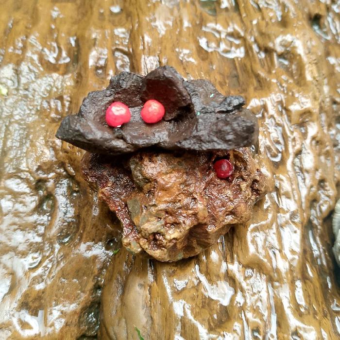 Mustika Lipan Mustika Tetes Embun Batu Alam dengan Warna Merah Cerah dan Tekstur Alami