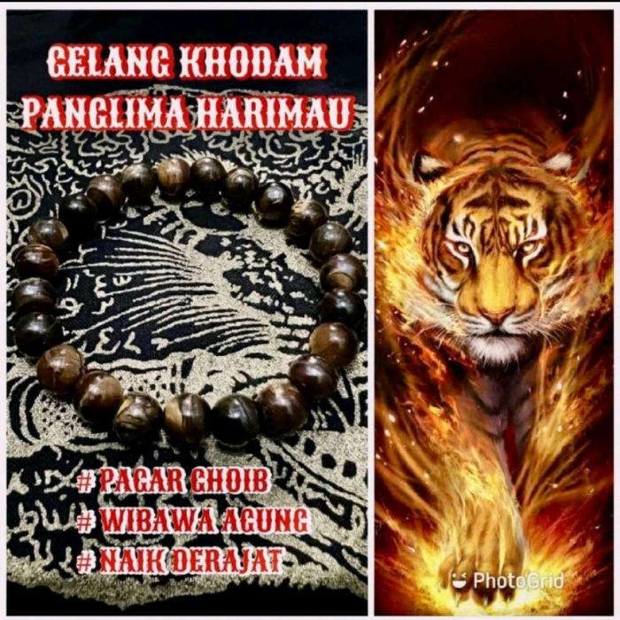 Gelang tigerEye Khodam Panglima Harimau Pagar Choib Wibawa Acung Naik Derajat untuk Perlindungan dan