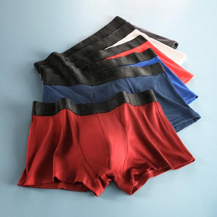 5PCS Men's underwear, men's briefs, summer sexual charm, antibacterial, ice-proof, silky, thin, brea