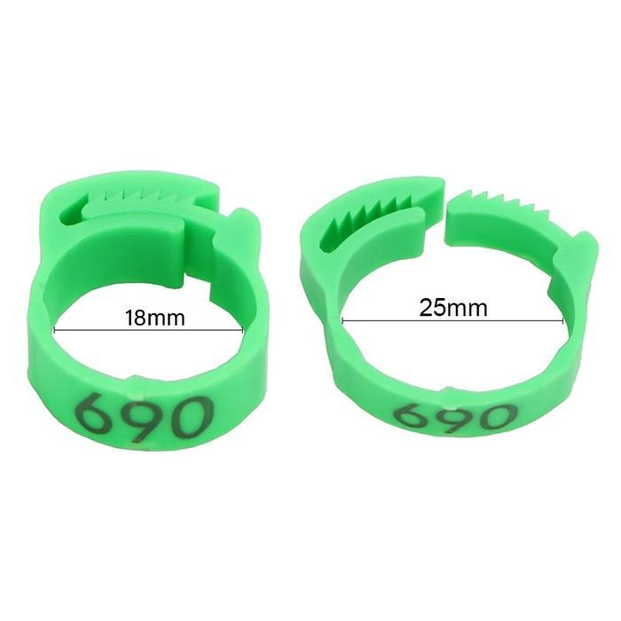 ISI 100 GELANG AYAM UNGGAS GELANG KAKI ANAK AYAM RING GELANG KAKI AYAM GELANG AYAM SEGEL KAKI AYAM