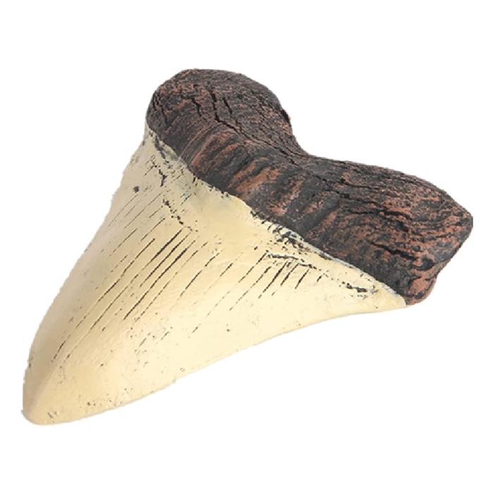 Megalodon Shark Tooth Fossil Giant Shark Tooth Megalodon Tooth Resin