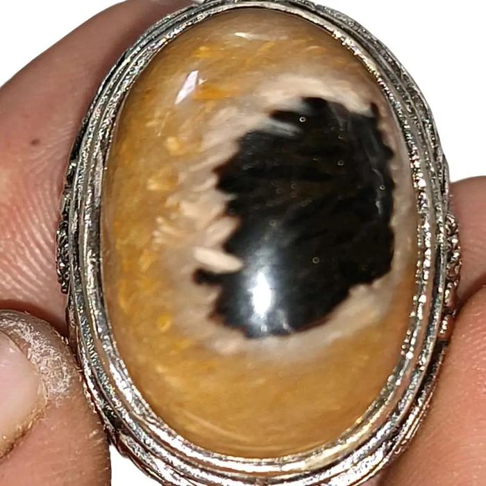 cincin batu fosil kayu AREN LANANG