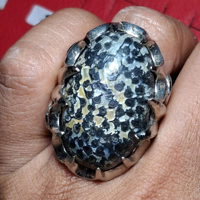 batu akik fosil telur kodok