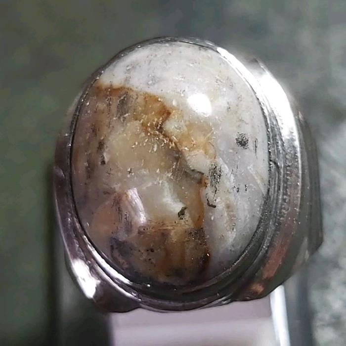 Fosil Kayu Nagasari - Cincin Batu Akik 05