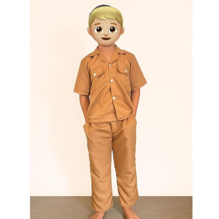 Baju Pns Pemda Guru Laki-Laki Bayi Tk Sd/Seragam Pns Anak/Kostum Asn Anak/Kostum Pnsanak/Kostum Guru
