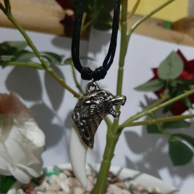 kalung taring kepala singa