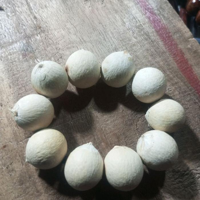 gelang dari biji nyamplung. orijinal. warna putih ke kunigkuningan mantull