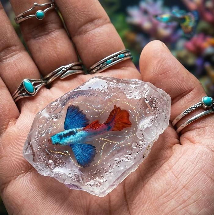hiasan aquarium guppy prtde super DUMBO era