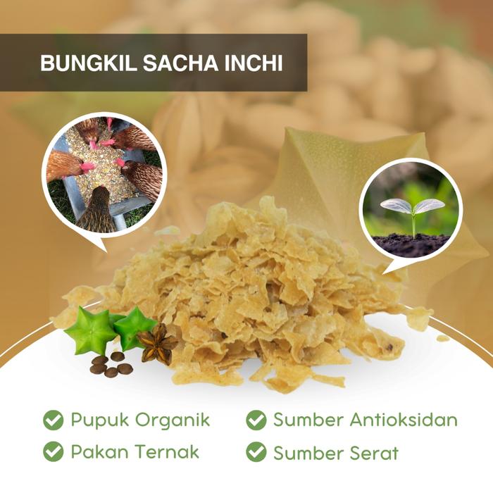 Bungkil Ampas Sacha Inchi Protein Tinggi Pakan Ternak Ayam Unggas dan Pupuk
