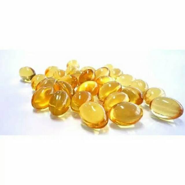 VGT nutrisi ikan perikanan vitamin probiotik pertumbuhan pembibitan