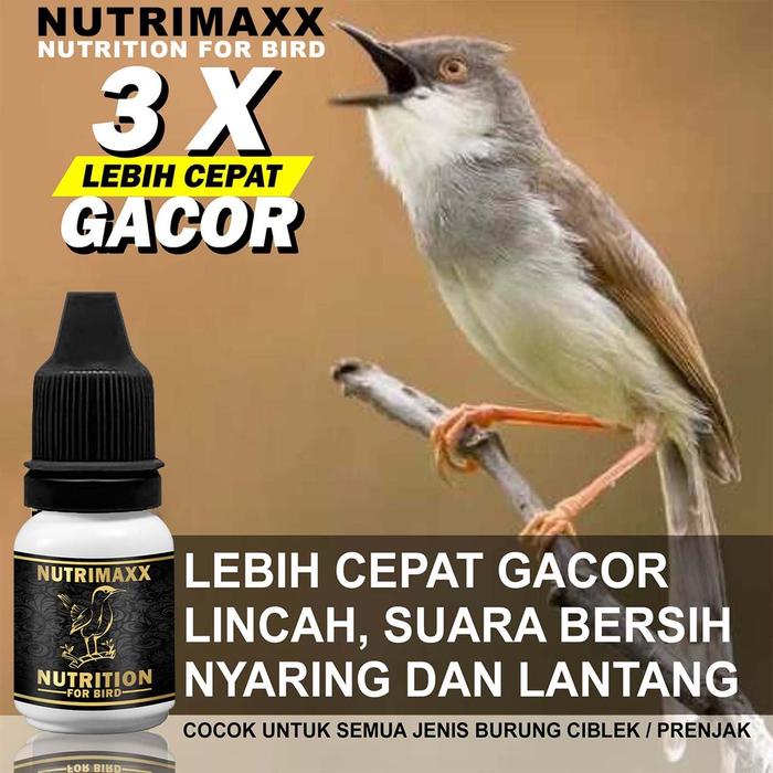 EBOD BREEDING VITAMIN BERTELUR BURUNG E-Breeding Ebod Jaya Vitamin