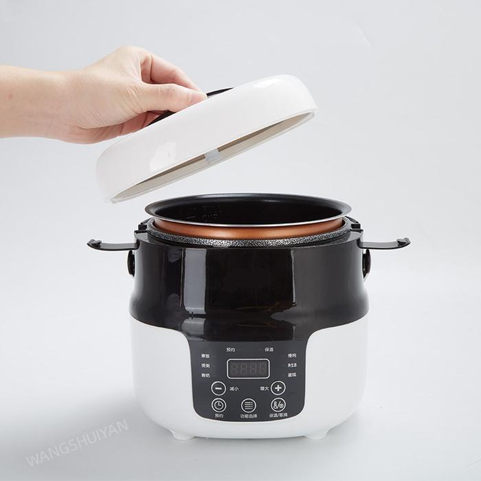 2L Electric Mini Rice Cooker Portable MultiCooker Household Rice