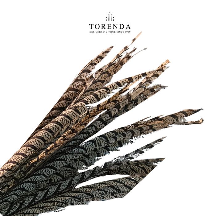 Torenda Payet Bulu Antik Sun Go Kong Bulu Ayam Natural Pheasant Tail Feathers Pheonix
